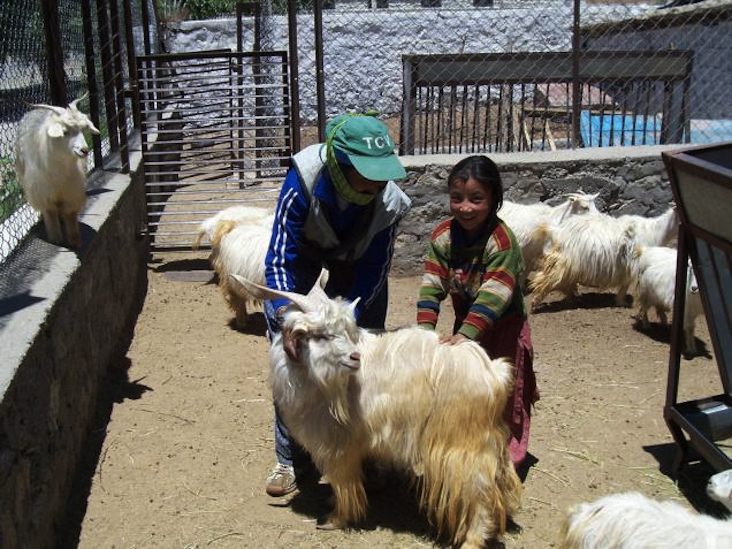 накидка из кашемира