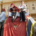 Индия 2010: Дели,Раджастан, Тривандрум.